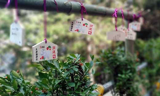 今年の干支の開運神社だけあって願いを込めた絵馬がズラリ♪